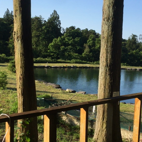 2020/05/29の画像