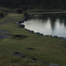 2020/04/29の画像