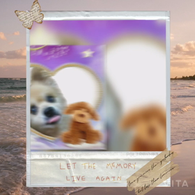 結婚記念日おめでとうございます♡元気玉を送ります♡の画像