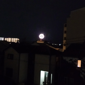 サザンオールスターズ茅ヶ崎ライブの画像