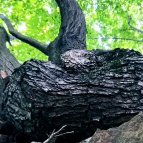 58の画像