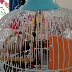 ヨッコちゃんの独り言の画像