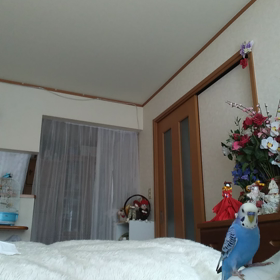 あのねあのね、あぁ～なってこうなって、私に教えてくれているよ。の画像