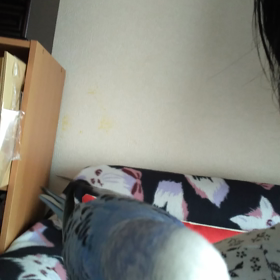 可愛い私の子の画像