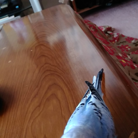 どっこいしょ!こらしょいくちゃんの画像