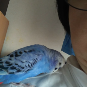 いつも こうして独り言の画像