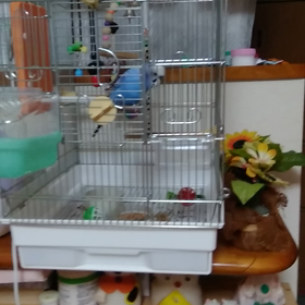 文句たらたらいってますの画像