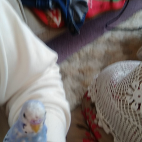 携帯出すとすぐ興味持ってきて撮れないよ！の画像