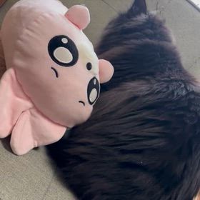 これから…の画像