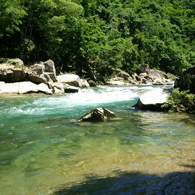 渓流の画像