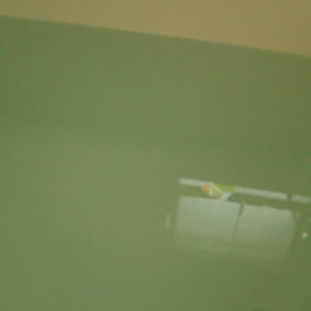動画の画像