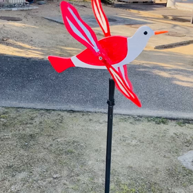 羽ばたきの画像