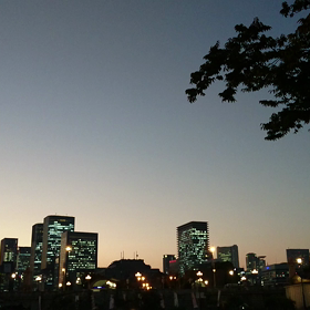 中之島公園②の画像