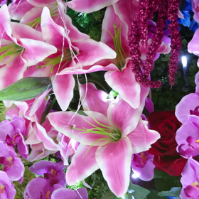 花たちの画像