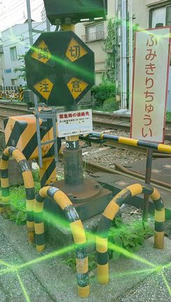 和やかな風景です、、、の記事動画