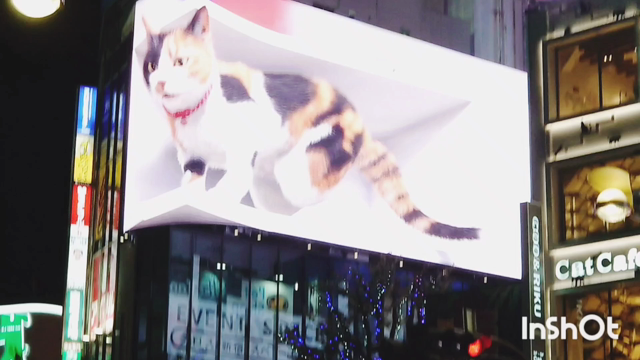 新宿〜♪の記事動画