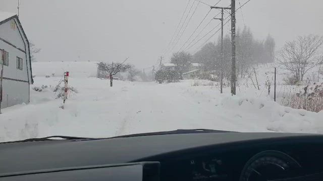 【冬休み】スキー場いかないと一年終われないの記事動画