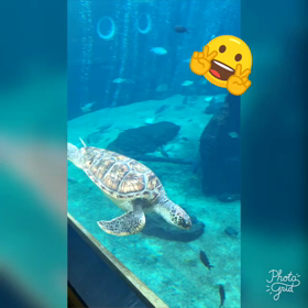 箱根の水族館の画像