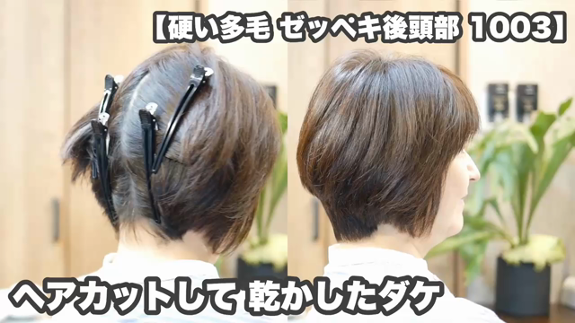びっくりするほど「硬い多毛 四角い骨格でも」『正しく切れば』【ショートカット長持ち】【1003】の記事動画