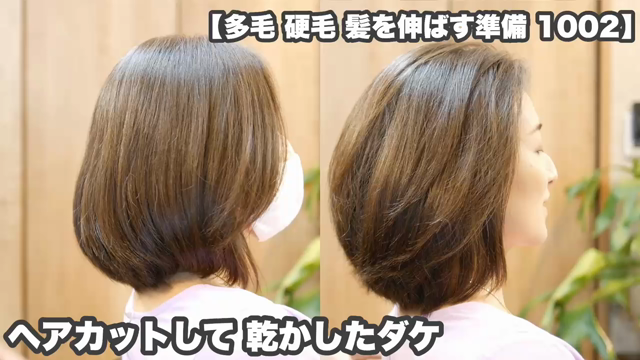 「髪を伸ばす準備カット」【表面をカットして髪型の重心を上げる】丸いミディアムヘア【1002】の記事動画