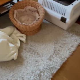涼しくの画像