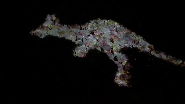 光のデジタルアート空間の記事動画