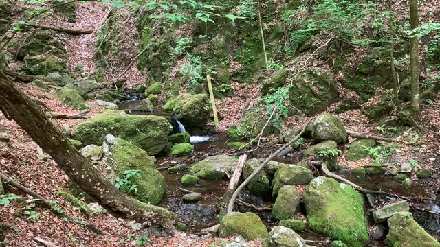 【日本の犬と狼信仰】古代DNA—日本人のきた道—＠国立科学博物館の覚書の記事動画