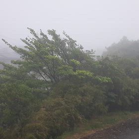 風と霧の画像
