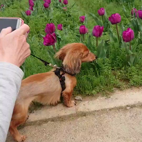 3.30の画像