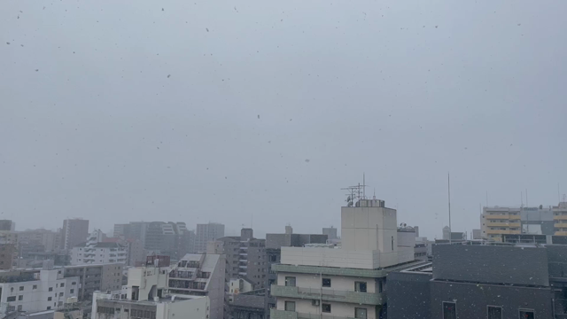 今年も１年ありがとうございました！の記事動画