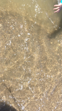 2019年夏休み  はじまりの記事動画
