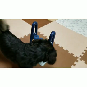 知育玩具、妹眉毛もクリアの画像