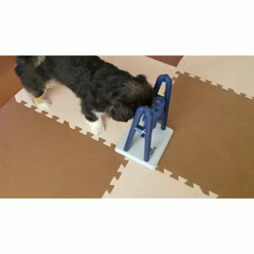 知育玩具、兄眉クリアの画像