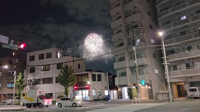 花火　／　ホヤ・カルノーサ　／　食欲の秋の記事動画
