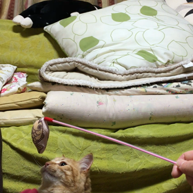 とびますとびますの画像