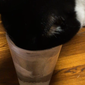あっぷねぃ〜の画像