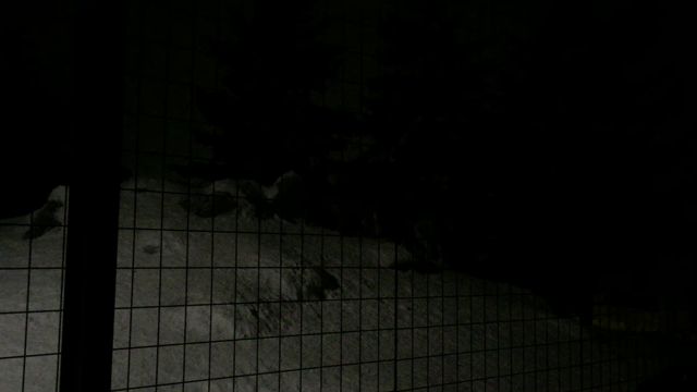 雪あかりの動物園（旭山動物園）の記事動画