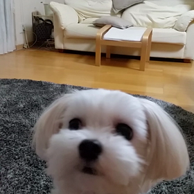 天才かも(^w^)の画像