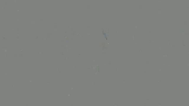 冬のお散歩の記事動画