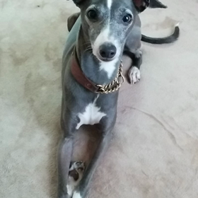 どんどん新技会得の画像