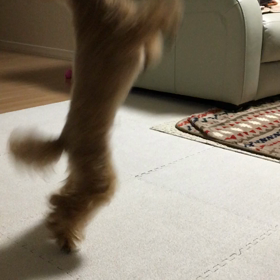 センスなしっ！の画像