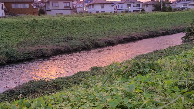 台風の進路予報が正確になってきた!?の記事動画