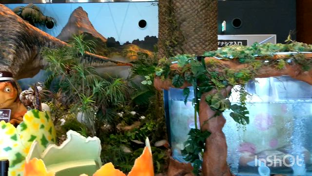 【冬休み旅行①】愛知県のラグーナテンボス＆変なホテルへの記事動画