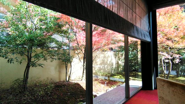 【ここは渋谷？】3連休に秋の嵐山への記事動画