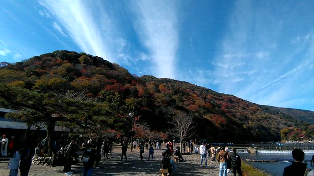 【ここは渋谷？】3連休に秋の嵐山への記事動画
