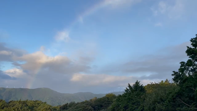 早朝　虹が！　の記事動画