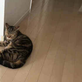 るうくトレーニング中の画像