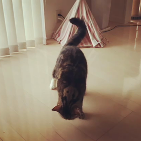 ひとりであそべるもんの画像