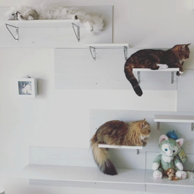 ねこ時計はいかがですか〜？の画像