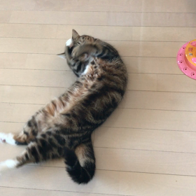 るうくの逃避の画像